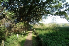 Geltinger Birk Rundweg