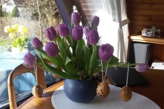 Ferienhaus Damp Blumen
