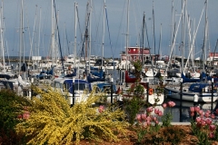 Hafen Damp