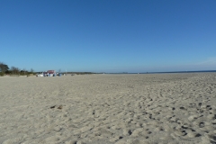 Strand Damp