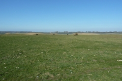 Schwansener See